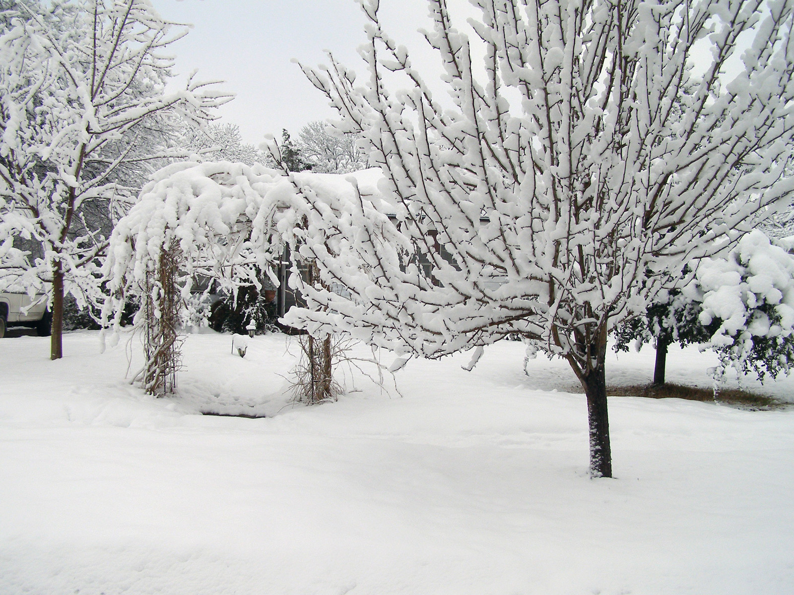 Winter Whites Texas snowfall Dallas